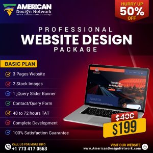 Professional Website Design Package